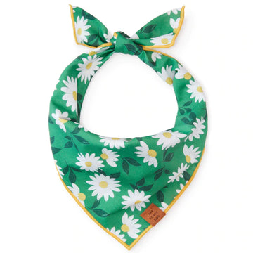 Coming Up Daisies Dog Bandana