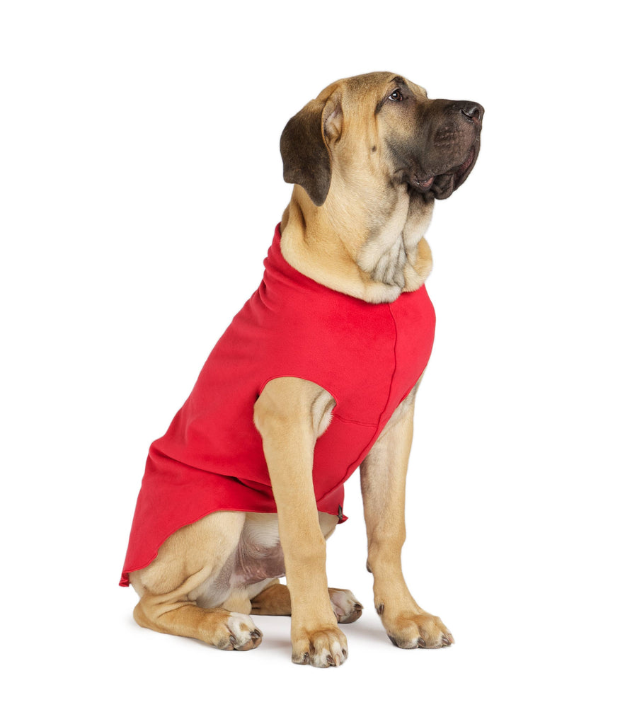 large light brown dog wearing a red fleece sweater.
