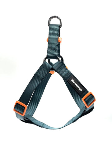 Norm Eco Friendly Harness