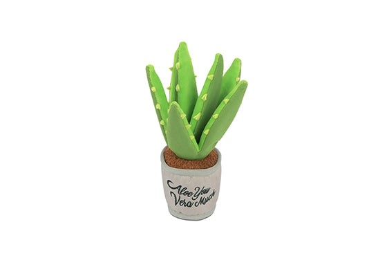 Aloe-ve You Plant Dog Toy