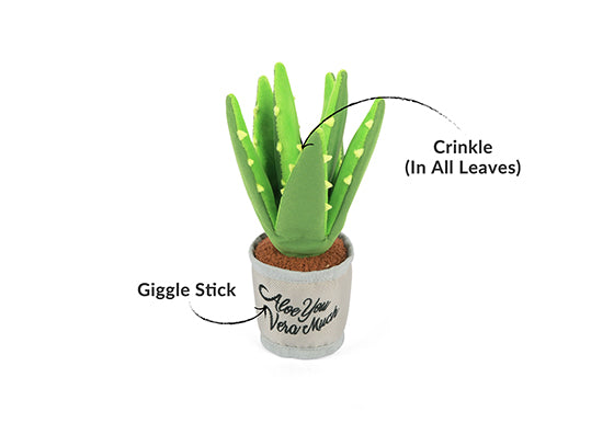 Aloe-ve You Plant Dog Toy