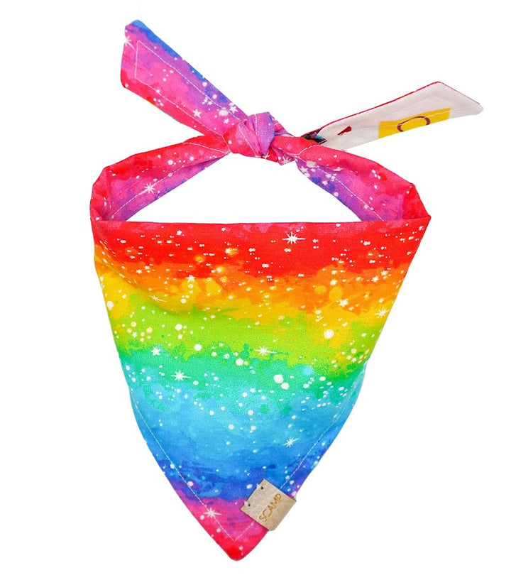 Pride Flags and Sparkles Reversible Bandana