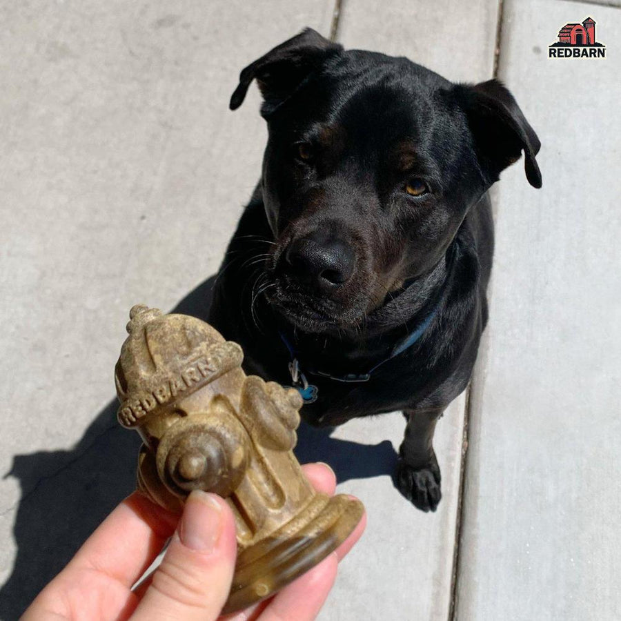 Dental Chew-A-Bull Hydrant