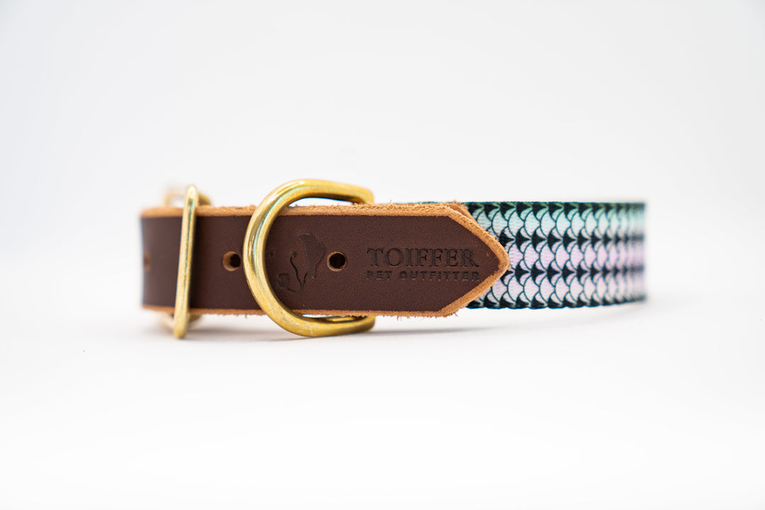 Handcrafted Leather & Striped Bass Print Dog Collar