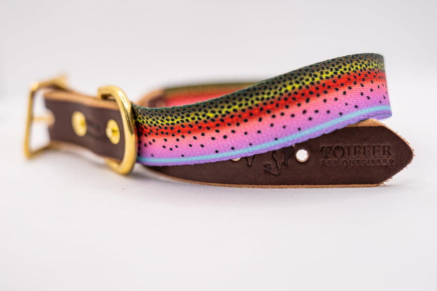 Handcrafted Leather & Rainbow Trout Collar Small