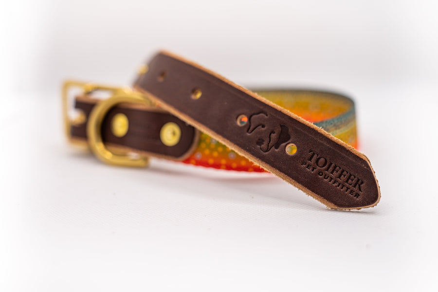 Handcrafted Leather & Brook Trout Small Dog Collar