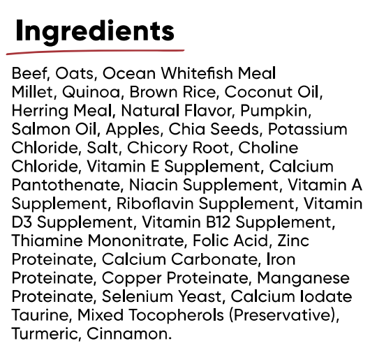 Open Farm Dog Ancient Grains Grass Fed Beef Dry Dog Food 4lb