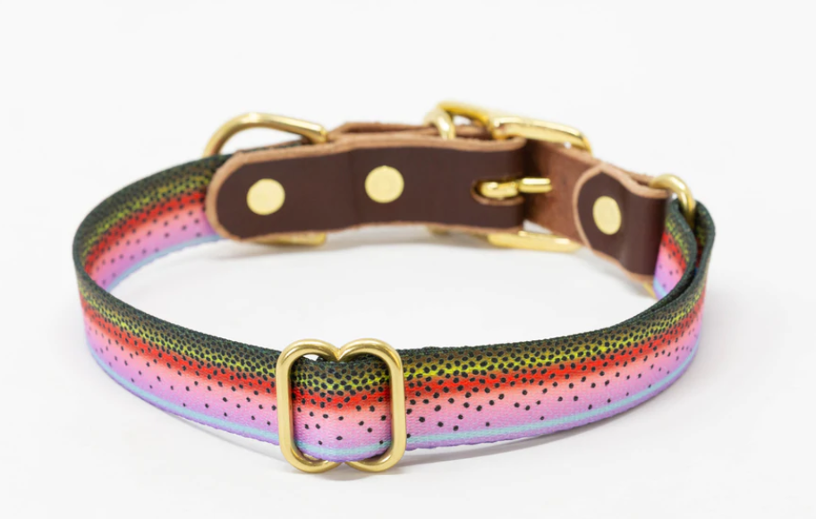 Brook trout dog sales collar