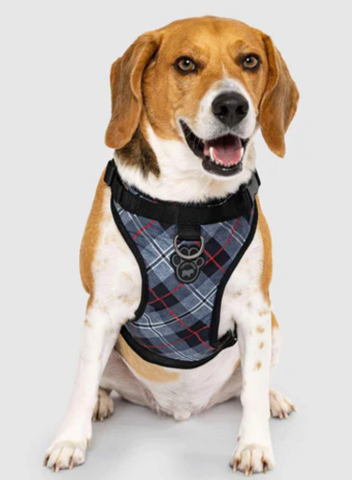 The Everything Harness Water-Resistant - Plaid
