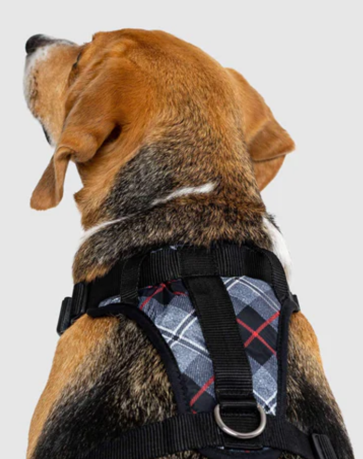 The Everything Harness Water-Resistant - Plaid