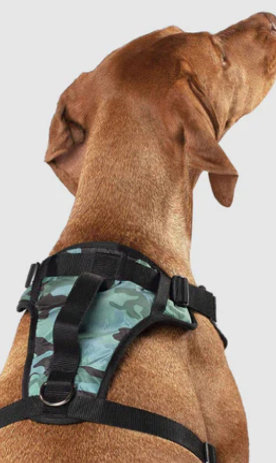 The Everything Harness Water-Resistant - Camouflage