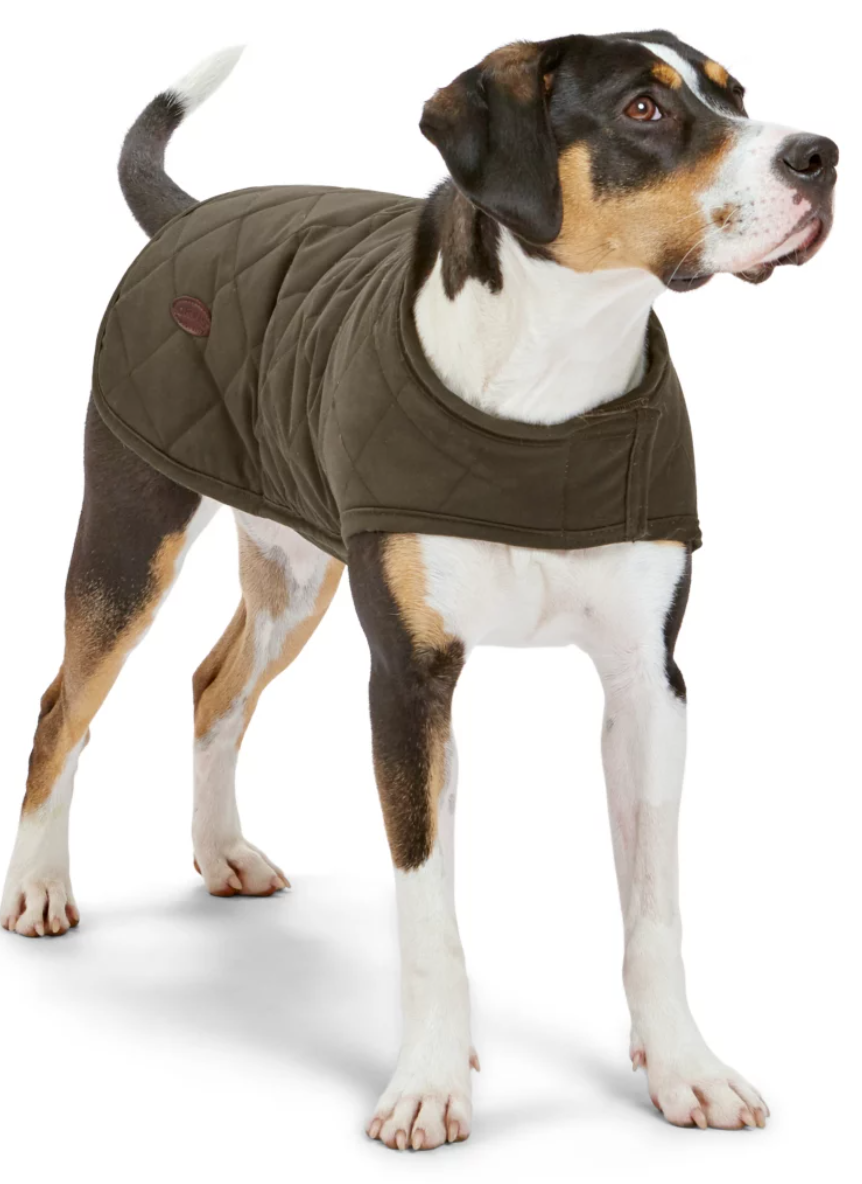 Orvis Quilted Waxed Cotton Dog Jacket