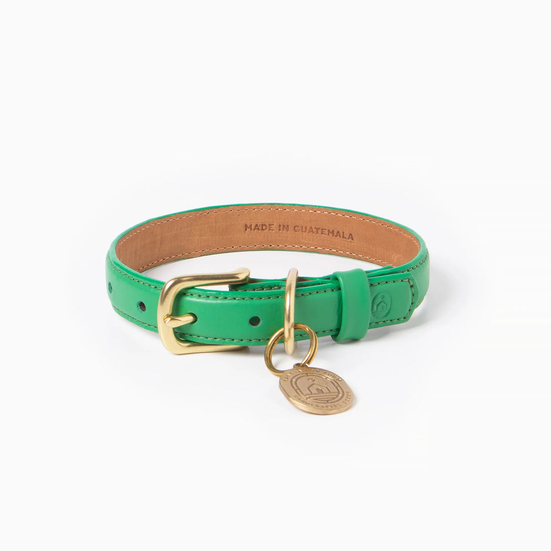 Ramona For You Spring Green Leather Collar