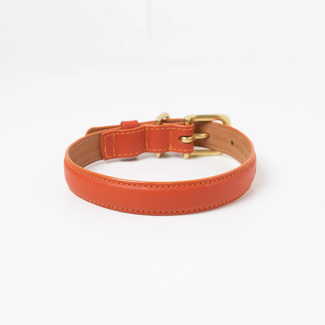 Ramona for You Sunset Orange Leather Collar
