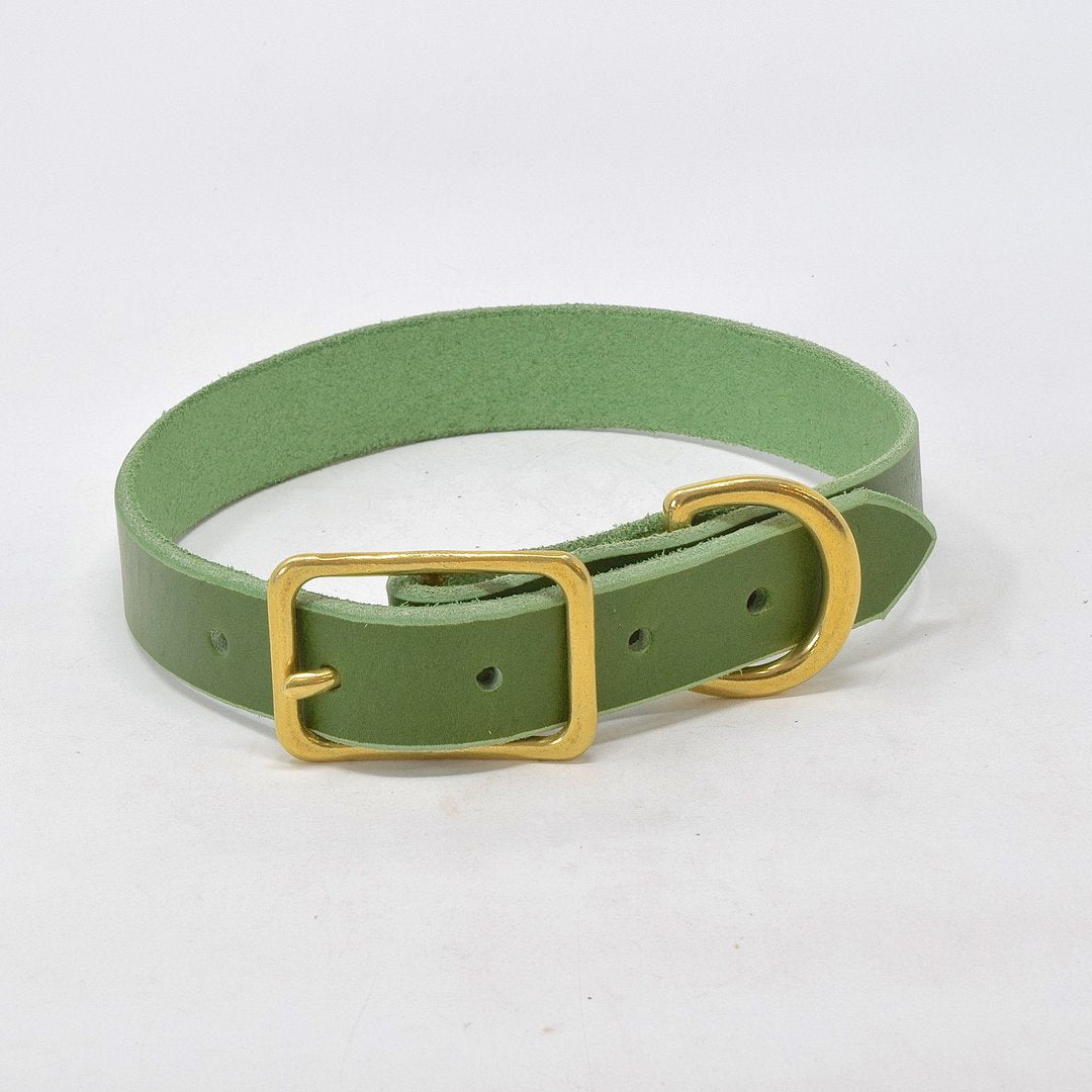 Handcrafted Premium Green Leather Dog Collar