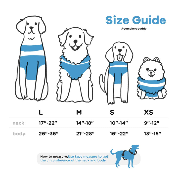 Sky Blue Dog Harness