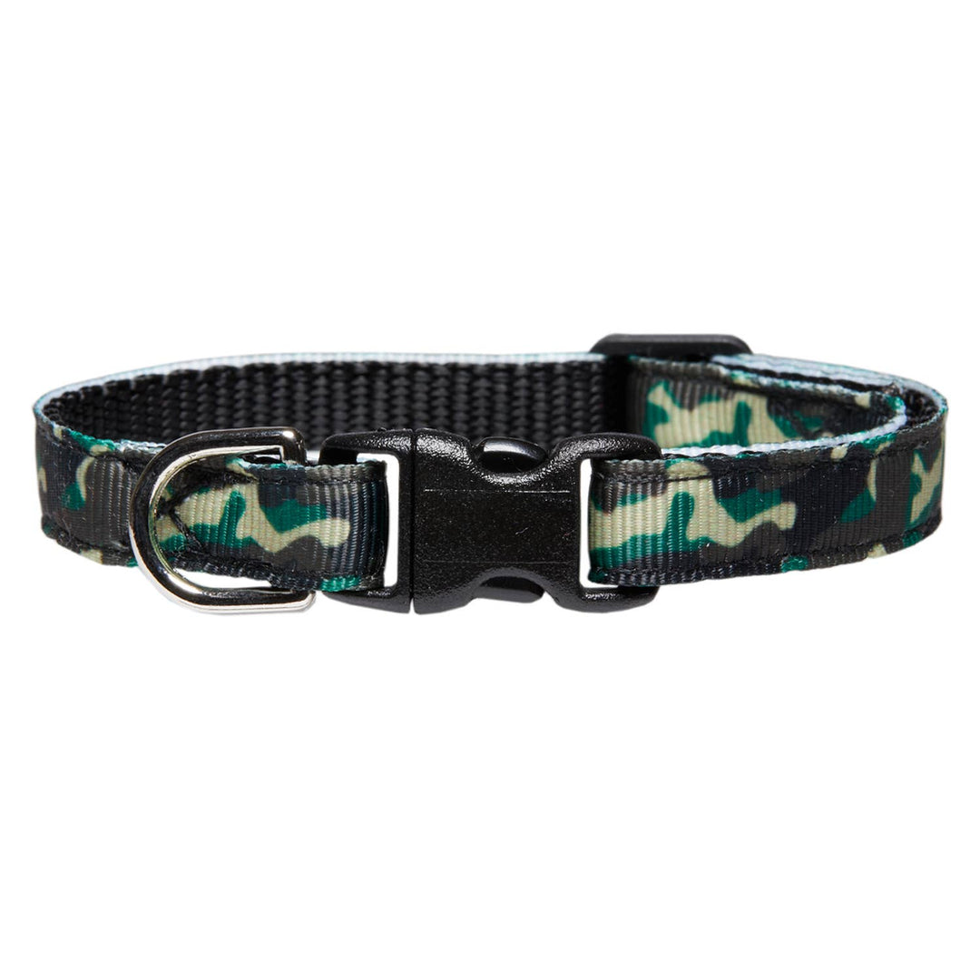 The Roky Cat Collar