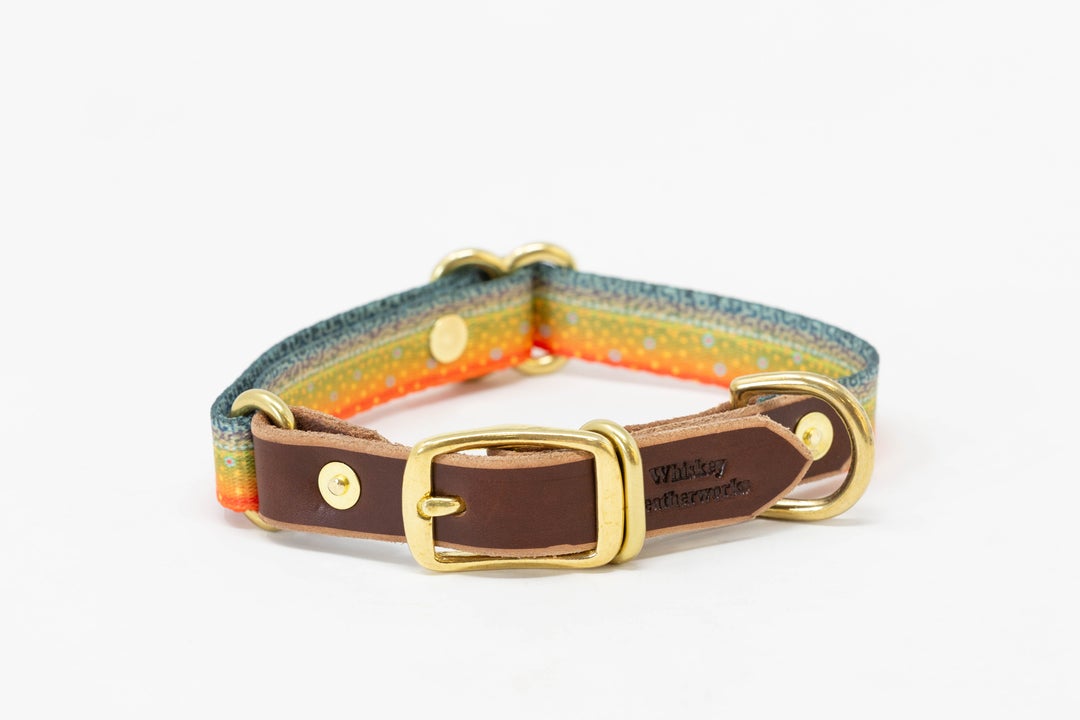 Leather & Brook Trout Print Adjustable Dog Collar