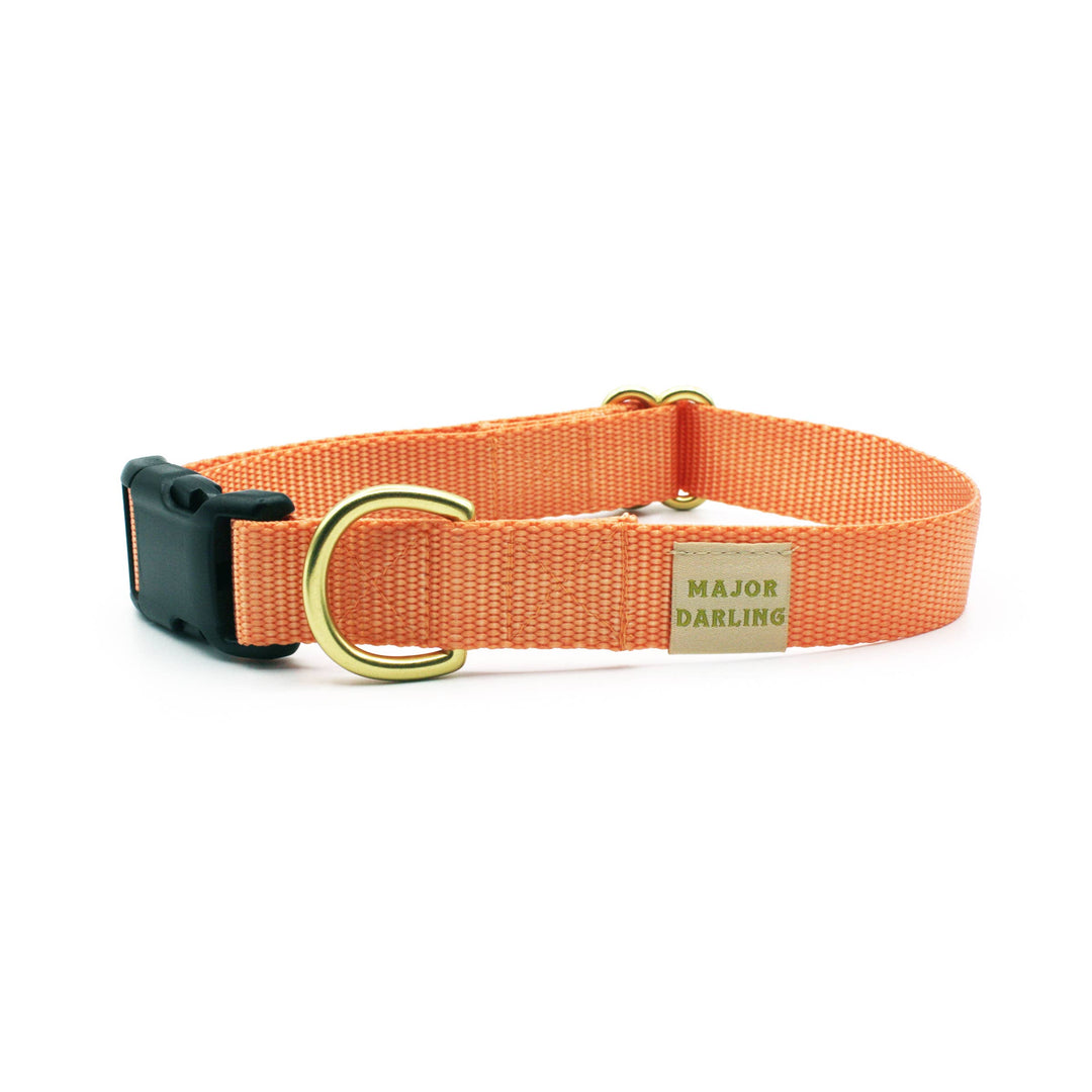 Peach Side-Release Buckle Collar