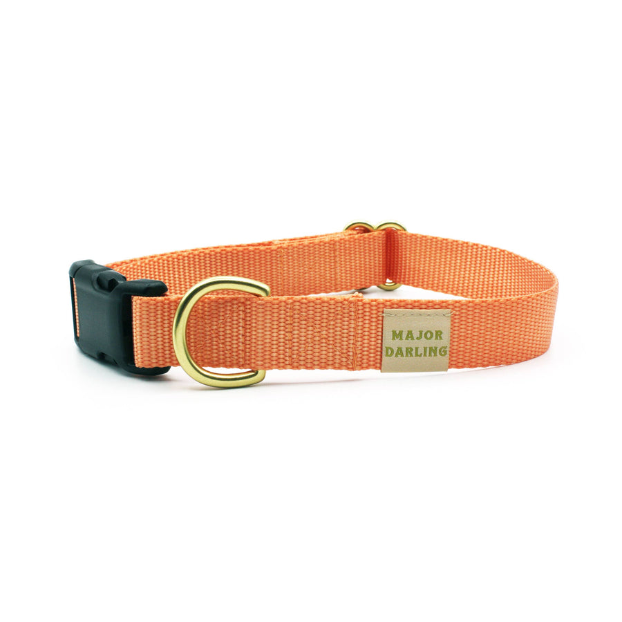 Peach Side-Release Buckle Collar