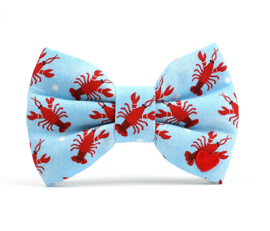 Sebastian Bowtie for Collar