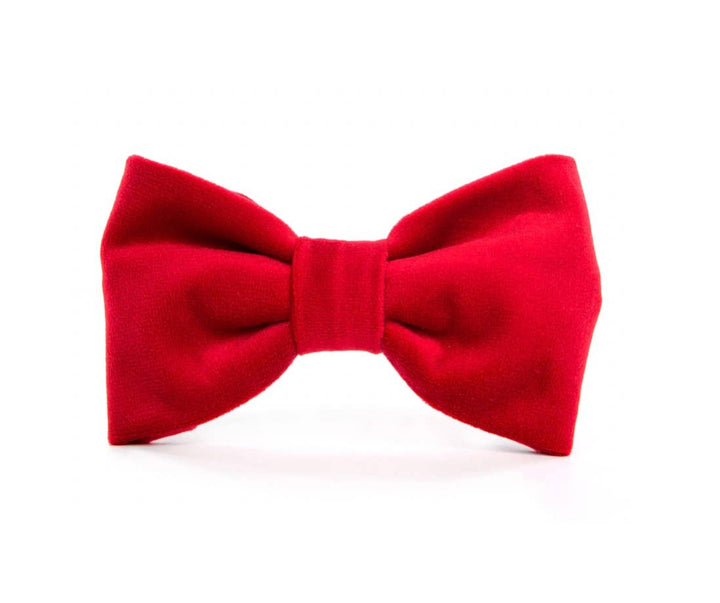 Cranberry Velvet Dog Bow Tie