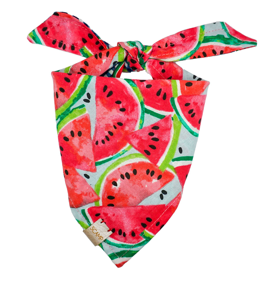Watermelon Hearts Reversible Bandana