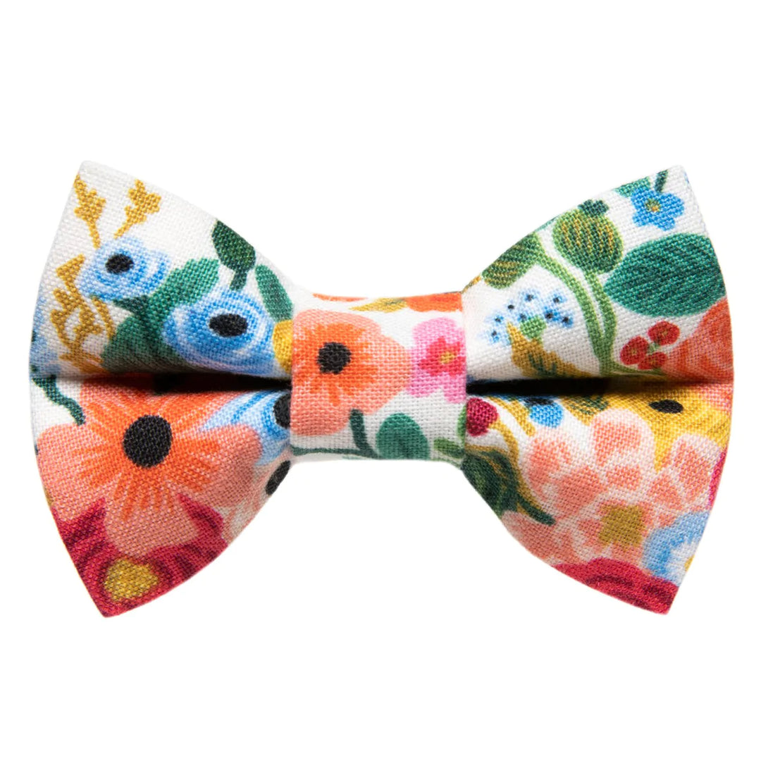 The Pathfinder Bow Tie Attachment for Collar