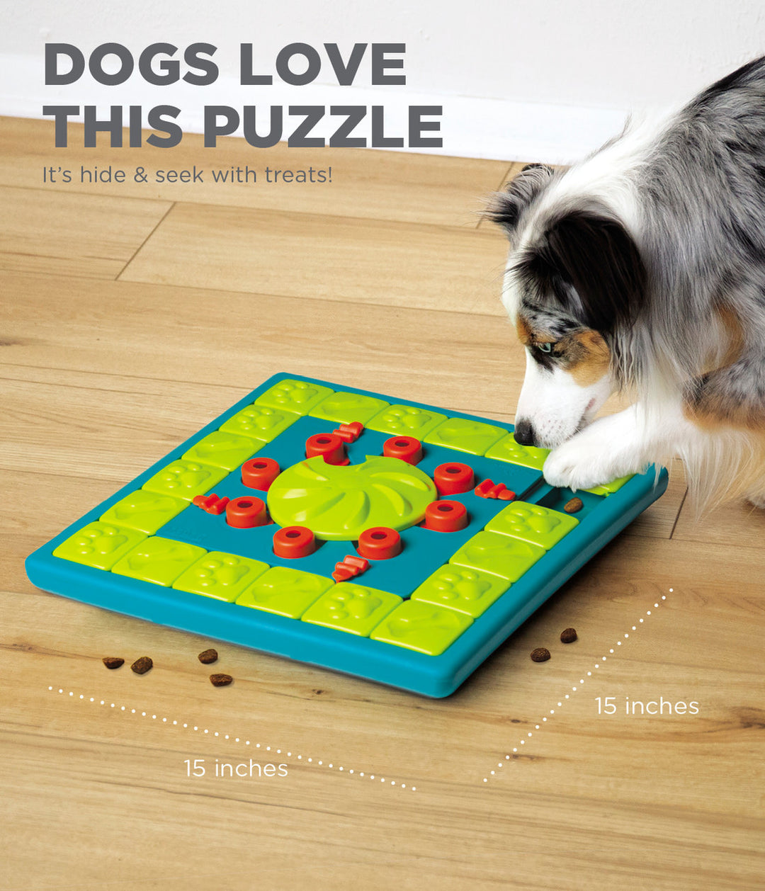 Dog Multipuzzle Game Expert Level Dog Toy